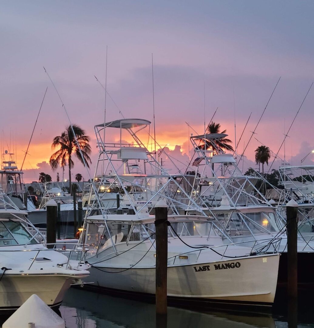 Fishing boats docked at sunset marina